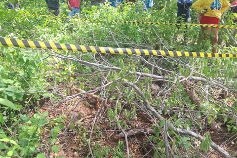 Imagem relacionada ao caso