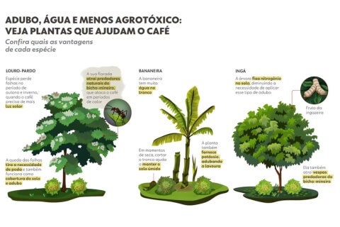 Produtores adotando novas práticas sustentáveis